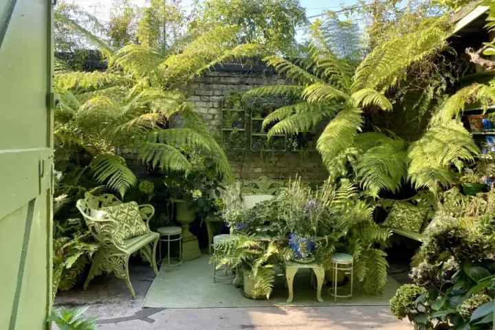Image 3
